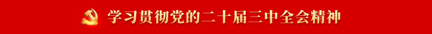 學(xué)習(xí)貫徹黨的二十屆三中全會精神